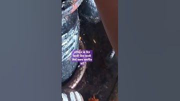 शिवजी पर काली मिर्च काली तिल क्यों चढ़ते हैं |#pradeepmishra | काली तिल काली मिर्च चढ़ाने का महत्व