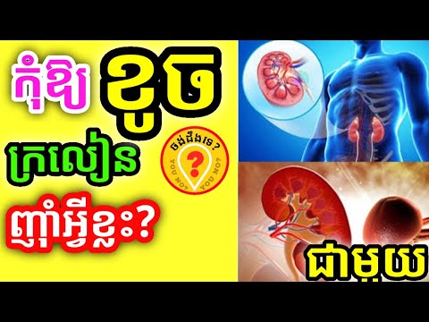 Food for protection kidneys អាហារការពារតម្រងនោម