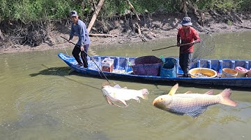Đi kích cá vuông chuối 2 năm chưa tác kết quả lên toàn hàng khủng | kích cá Tập 2