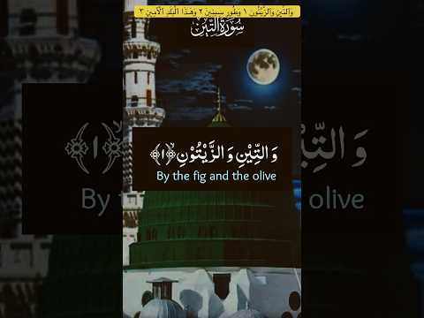 و ٱلت ين و ٱلز ي ت ون ١ و ط ور س ين ين ٢ و ه  ذ ا ٱل ب ل د ٱل أ م ين ٣ 