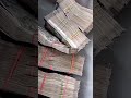 पैसा कामा bro 💵💸. #blog #vn #vlog