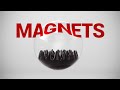 This Magnetic Simulation Took Nearly A Month! 🧲