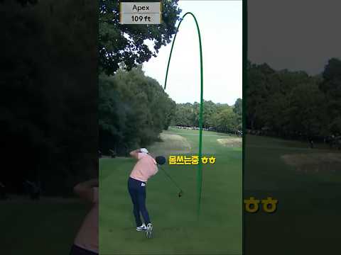 숲에서 누가 던져줌 #<strong>로리맥길로이</strong>