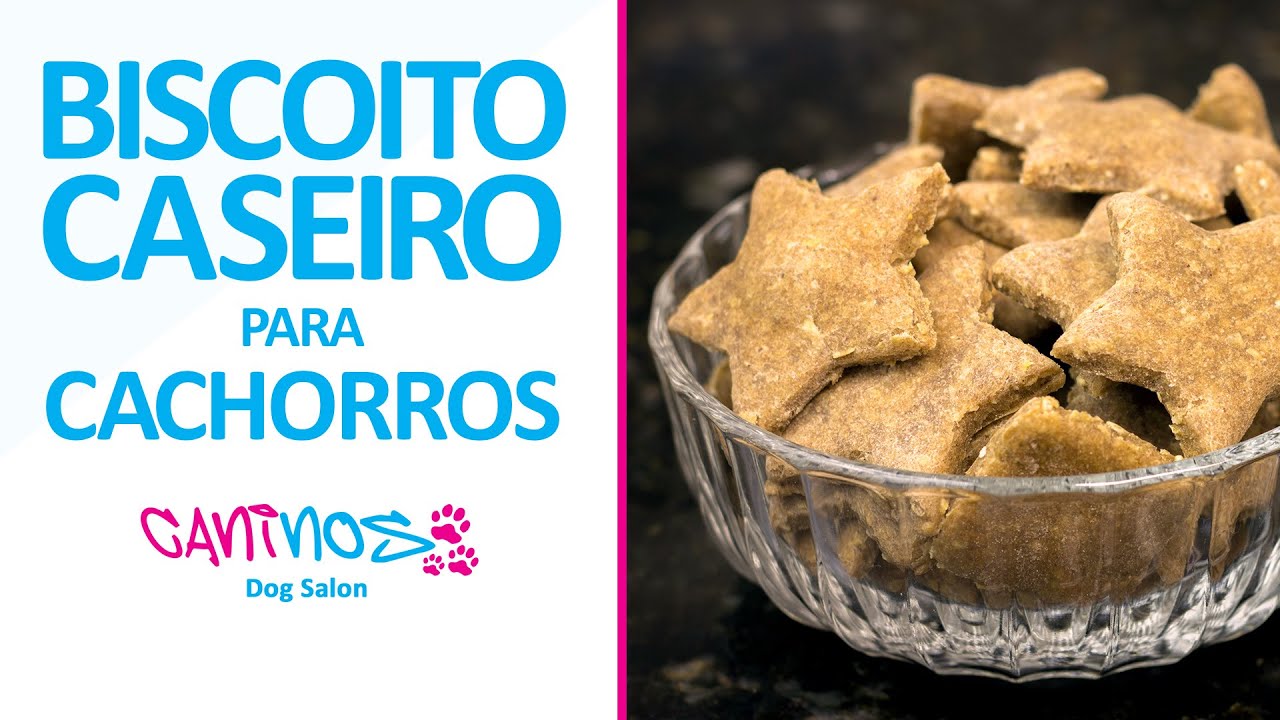 RECEITA DE BISCOITO CASEIRO NATURAL PARA CACHORROS