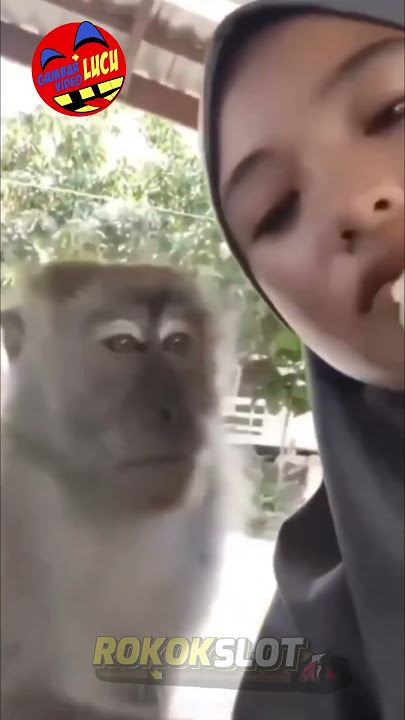 LUCU NGAKAK 🤣🤣 Video Lucu Bikin Ngakak Parah 🤣 Video Lucu Bikin Ngakak 🤣 #videolucu