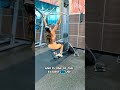 Beginner friendly Back focused workout #gymgirl #workoutmotivation #workoutforwomen #beginnerworkout