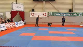 ディスクドッグのデモンストレーション3 Disk Dog Demonstration 2019 0202