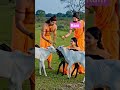 #ram#