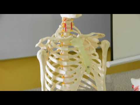 Pioneer Undergraduate Students Of Al Ansar University Maiduguri AUM Borno State Begins Lecture