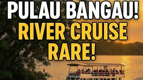River Cruise Teluk Intan  | Pulau Bangau, Lokasi Rare di  Perak (#RCTI)