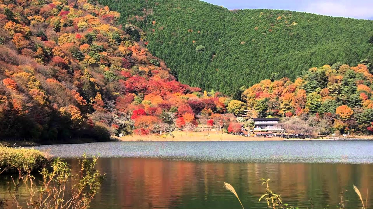 田貫 湖 の 紅葉