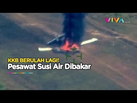 Pesawat Susi Air Dibakar KKB di Nduga Papua