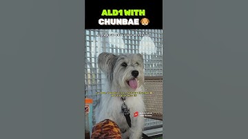 ALPHA DRIVE ONE WITH CHUNBAE 알파드라이브원 #알파드라이브원 #알디원 #Ald1#AlphaDriveOne #보이즈2플래닛 #ボーイズ2プラネット #sangwon