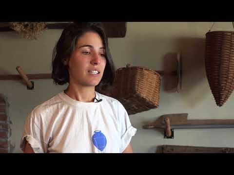 7 დღე - 24.09.17