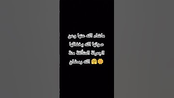 #محبي_القارئه_منة #koran #منة_الله_رمضان #القارئه_منة_الله_رمضان #quran