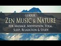 One hour zen music with nature footage for massage yoga meditation study focus sleep