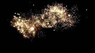 JFC30/49F-2 (CE approval) 49 shots - JUMBO FIREWORKS