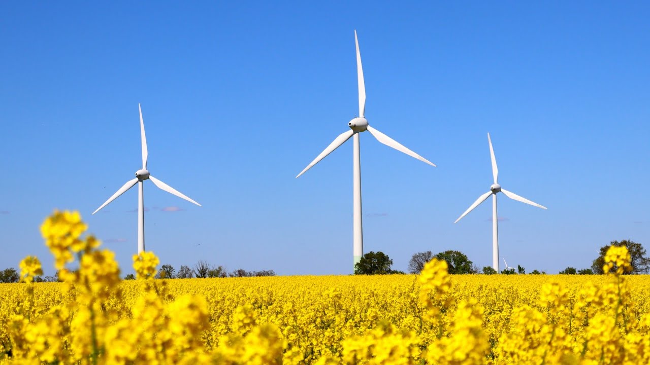 Repowering Windpark Leipzig-Rehbach / 6 Kranstell & Fundamentflächen für die Vestas V136-4.2 fertig