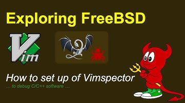 FreeBSD - debugging software with vim and vimspector