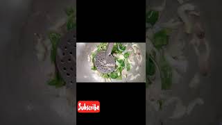 PASTHA 😍👩‍🍳🤤✨🌶️ welcome to suba's kitchen @kitchensubas