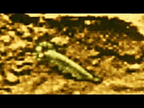 Video: Венера чымын кармайбы?