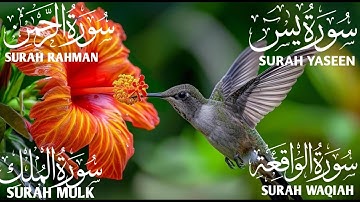 تلاوة تريح القلب سورة يس❤️الواقعة❤️الرحمن❤️الملك❤️ لزيادة الرزق و البركة.Yaseen🔴Rahman🔴Mulk🔴Waqiah💫🕋