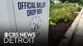 Voters head to the polls for Michigan's 2024 primary election