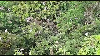 Pombal De Avoantes Iguatu-Ce