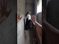 Parkour vs horror attack 😲👹