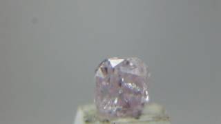 MVI 2247