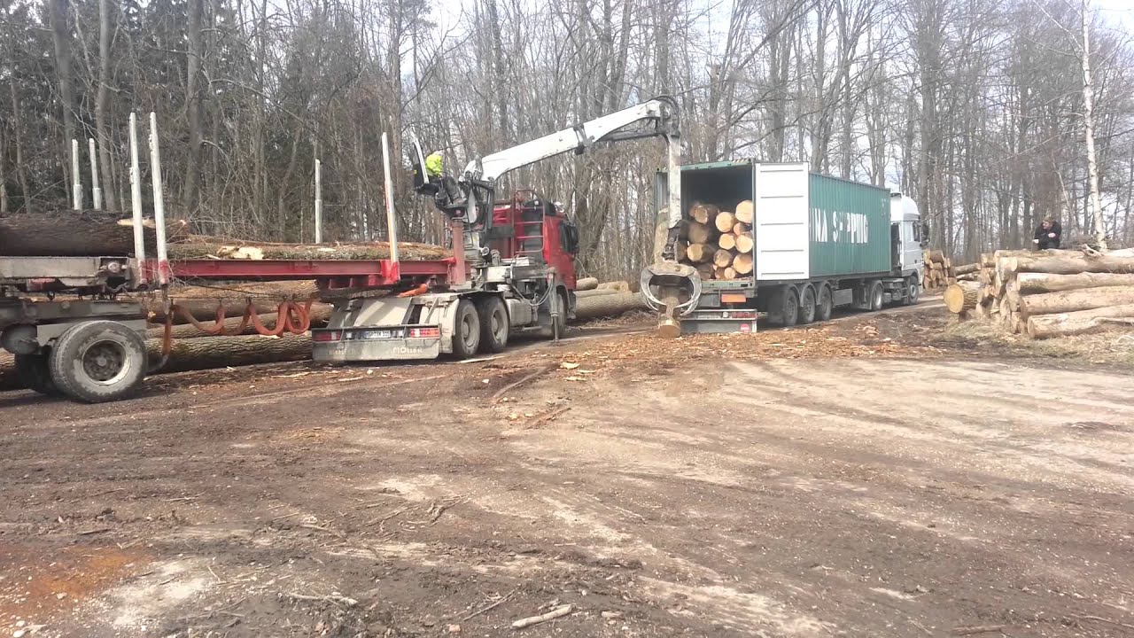 Holzverladung in einen Container