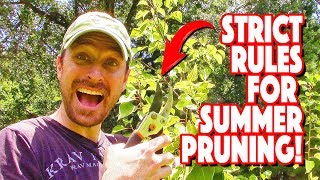 Do Not Summer Prune Fruit Trees WIthout Following These Rules!