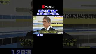 👆👆続きは▶︎をタップ👆👆【1.2倍速】政府の巨額「基金」あればあるほど使う！？【60秒で学べるNews】水曜夜９時放送中！（2023年12月21日）#shorts