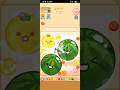 2 Watermelon Pop! Satisfying ASMR Fruit Drop Merge Melon Game #games #asmr #puzzlegame #mobilegame