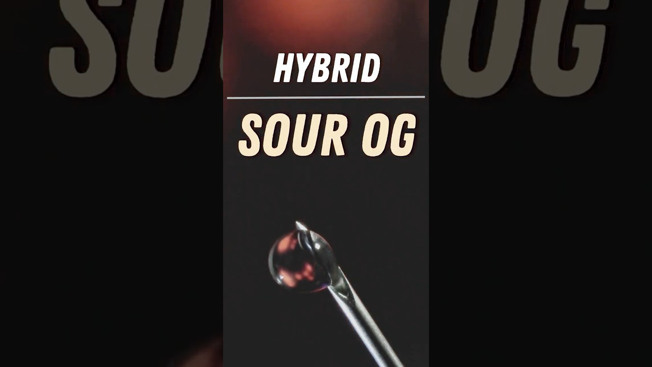 Sour OG Live Resin Review: Blue River Concentrate from Trulieve