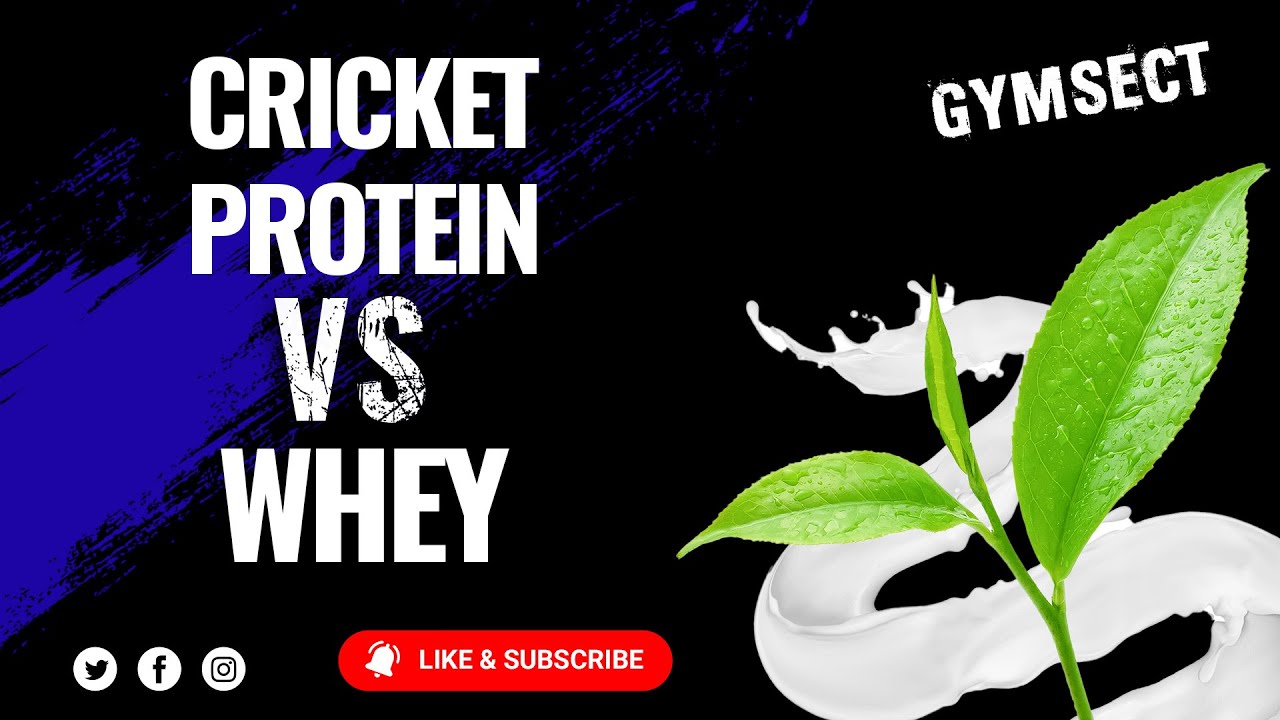 Cricket Protein Powder vs Whey Protein GYMSECT YouTube