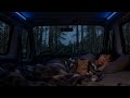 Rain Ambience - Deep Sleep Instantly with Heavy Rain & Thunder in Cozy Car at Night Foggy Forest