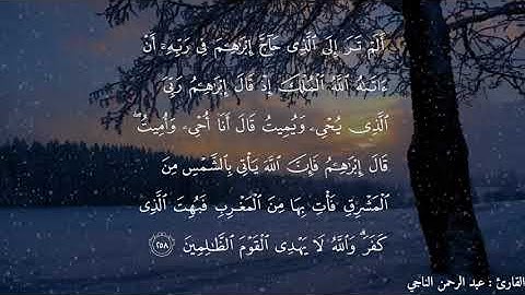 تلاوة رائعة من سورة البقرة للقارئ عبد الرحمن الناجي.
