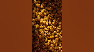 Doing my thing | Lego heads | Maya and Arnold lighting