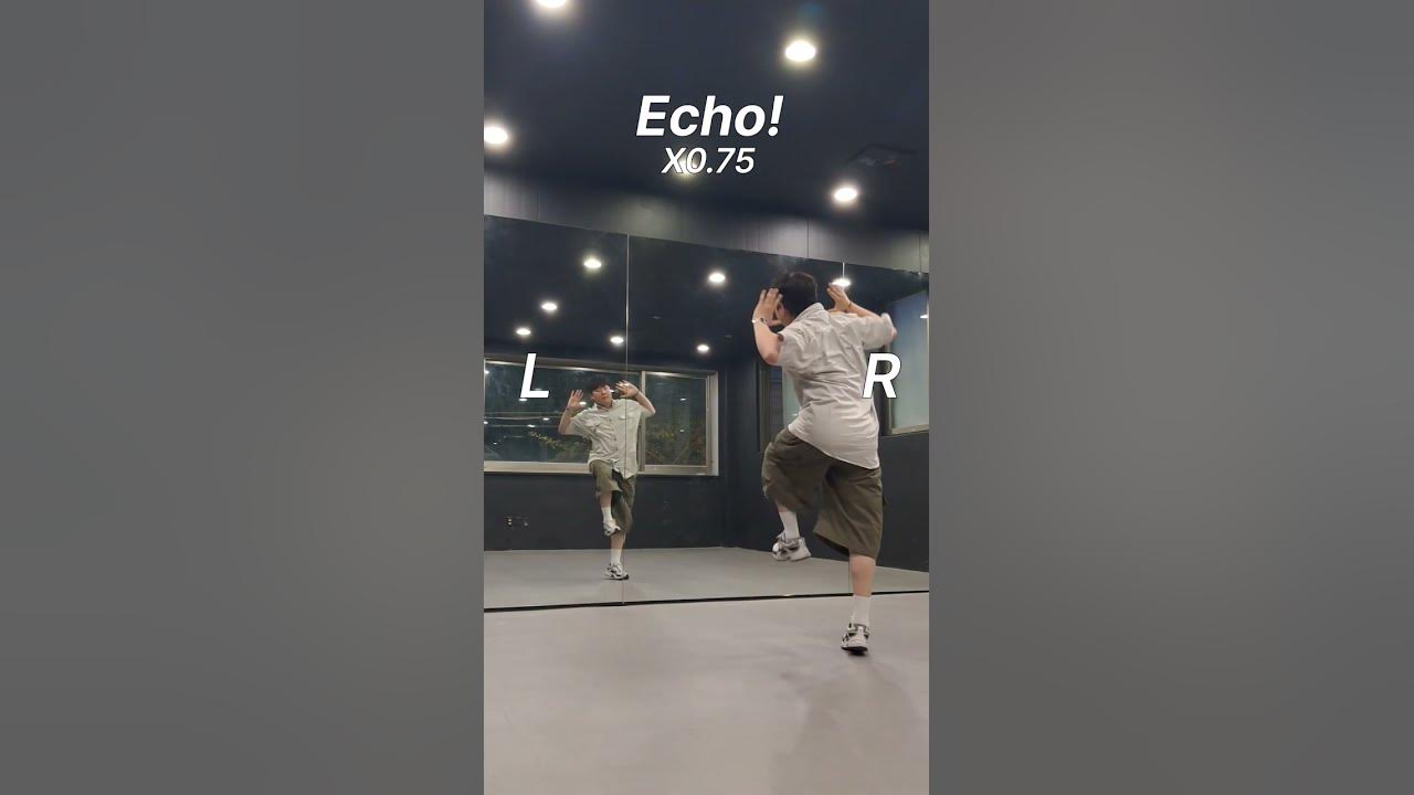 호시X우지 - Echo! l Dance Tutorial l Mirrored l #echo #hoshi #woozi #wswf