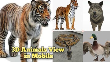 How to View Google 3D Animals in Your Mobile \ AR Feature || Bhavani Sai Channel