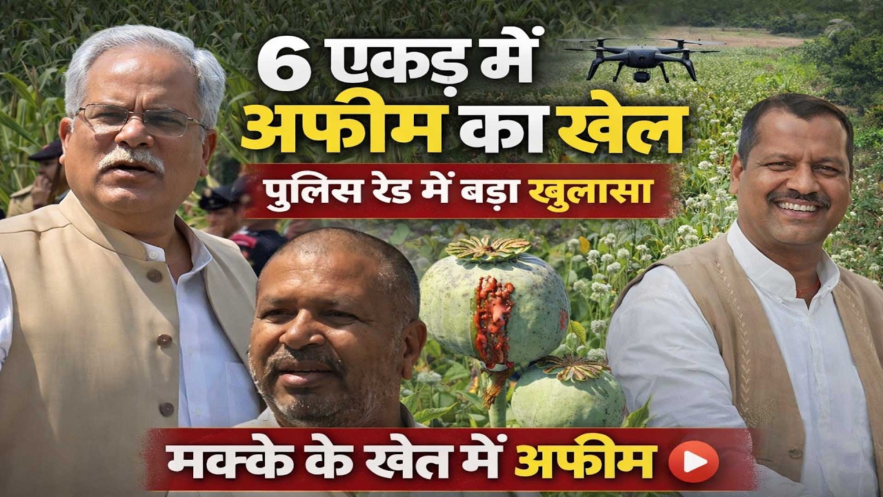 दुर्ग में अफीम की खेती का बड़ा खुलासा! पुलिस की रेड, भाजपा नेता से पूछताछ