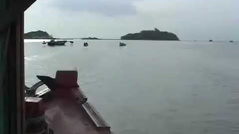 Phóng viên câu mực đêm cùng ngư dân cà mau