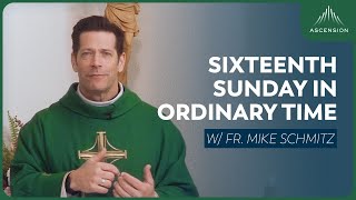 Sixteenth Sunday in Ordinary Time - Mass with Fr. Mike Schmitz