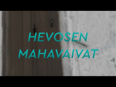 Hevosen mahavaivat - Oireet, tutkimus ja hoito