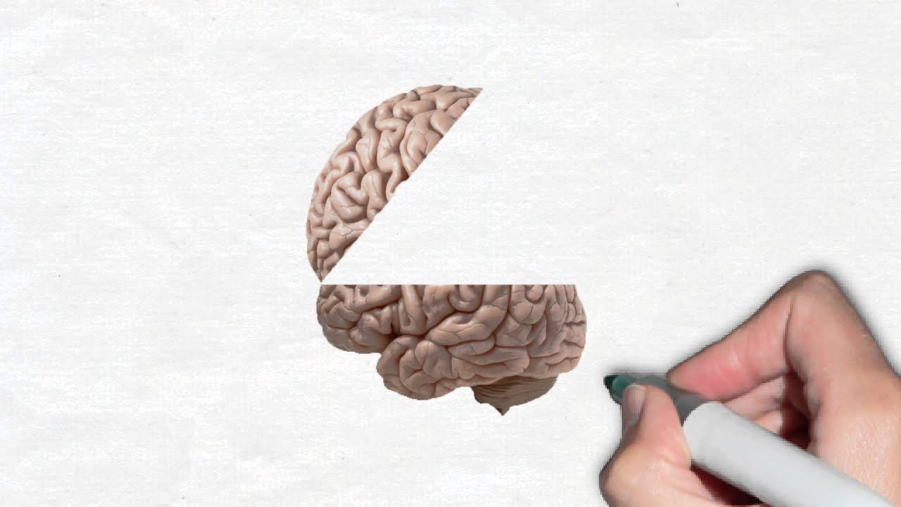 Student Centered Learning