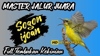 Download Lagu Lawan auto tepar !! MASTERAN SOGON MATERI KEKINIAN SUPER MEWAH❗ MP3