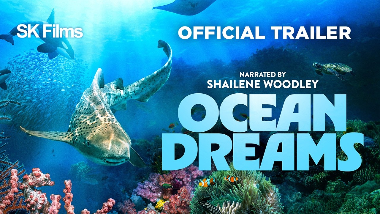 Ocean Dreams | Official 4K Trailer | SK Films