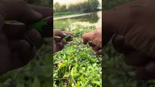 test soft frog baru ✨ #fishing #chastinggabus #mancing #castinggabusbesar #castingikangabus