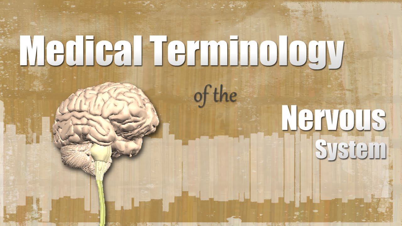 Medical Terminology of the Nervous System YouTube